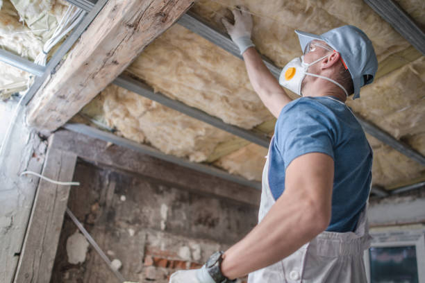 Best Cellulose Insulation in Fremont, NE