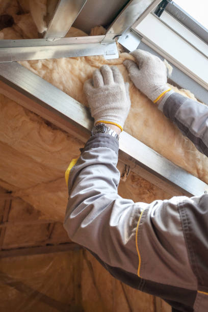 Best Specialized Insulation Services in Fremont, NE